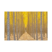 Трговска марка ликовна уметност „Тишината е златно жолти дрвја“ платно уметност од Рос Липсо