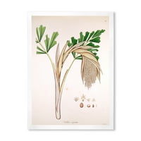 DesignArt 'Антички растителен живот xv' Фарма куќа врамена уметничка печатење