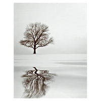 Уметничка галерија со ремек -дело Зимско дрво сон од Илона Велман Канвас Фото уметност Печати 22 28