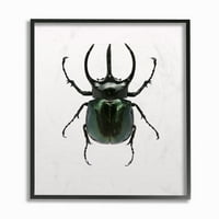 Stuple Industries Beetle Horned Black Green Animal Фотографија врамена wallидна уметност по дизајн Фабриккен