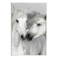 Фотографија од бел коњ бакнеж животни и инсекти Фотографија Необраната уметничка печатена wallидна уметност