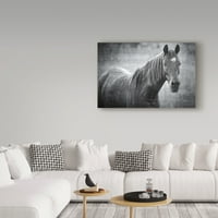 Трговска марка ликовна уметност „коњ убавина“ платно уметност од Бета Цицовска Јанг