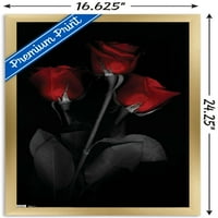 Црвена Роза Ѕид Постер, 14.725 22.375