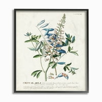 Студената индустрија за ботанички растителни илустрации цвеќиња и остава гроздобер дизајн врамена wallидна уметност од непознато,