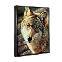 Ступел волк гледајќи животински портрет портрет животни и инсекти Сликање црна пловичка врамена уметничка печатена wallидна