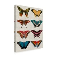 Трговска марка ликовна уметност „Полихром пеперутки I“ платно уметност од визија студио